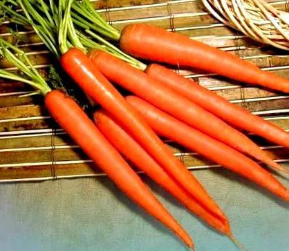 recept paleo