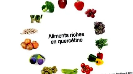 quercetina