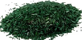 spirulina