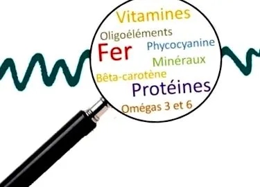 spirulina