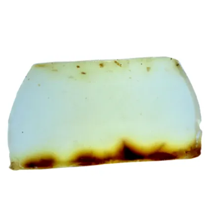 moringa