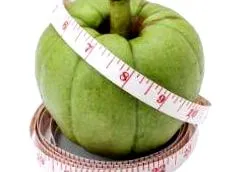 garcinia garcinia