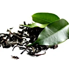 plante
