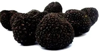 szarvasgomba szarvasgomba
