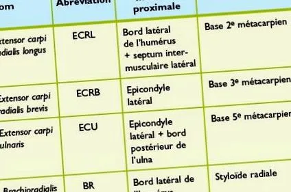 swiss medical