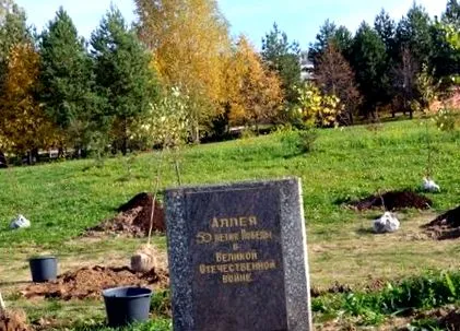 kostromában