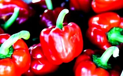 paprika