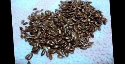 rostot tartalmaz