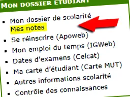 jean toulouse
