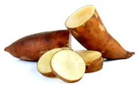 огляди yacon