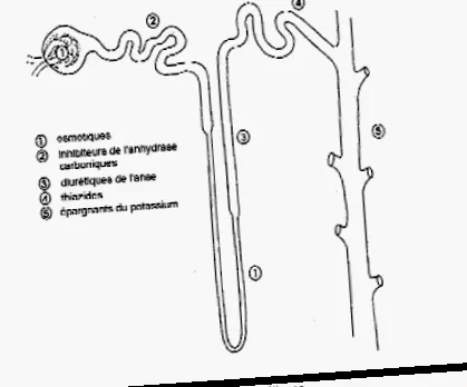 diureticelor