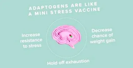 adaptogeni