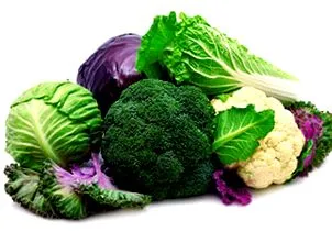 legume