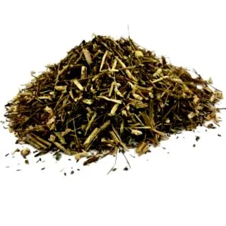 artemisia рослина
