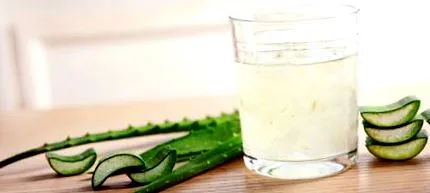 aloes