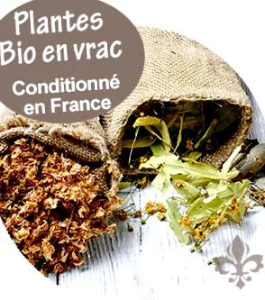 szerves