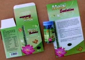 meizi
