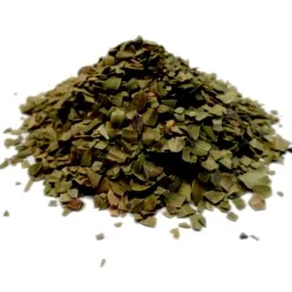 uva-ursi