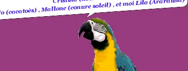 Ghislaine cmarq
