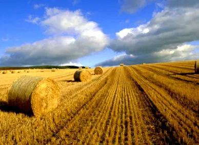 agricultură