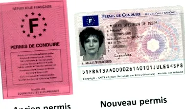 permisului