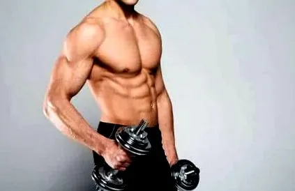 muscular