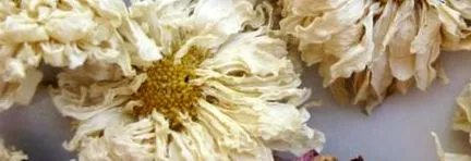 floare