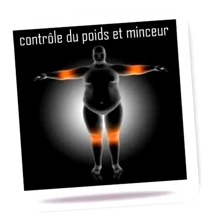 súlykontroll