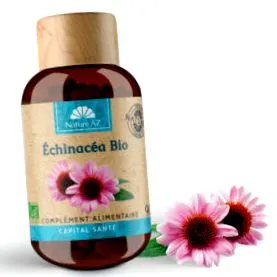 echinacea