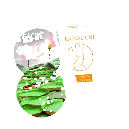 narancsbőrt