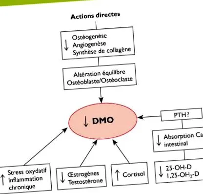 locomotor
