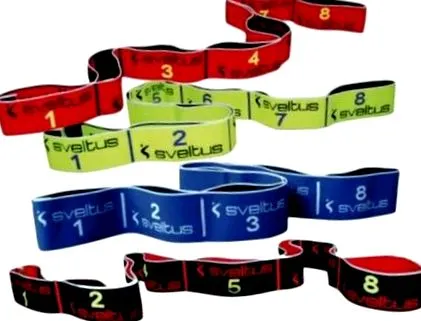elasticului