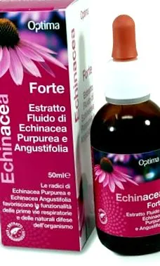 echinacea