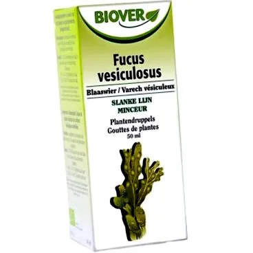 fucus