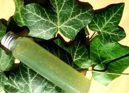 casă