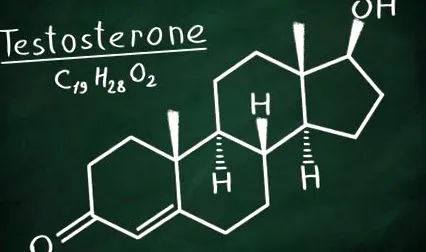 testosteron