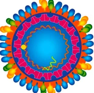 hepatitiszek hepatitiszek
