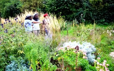 jardin ruches
