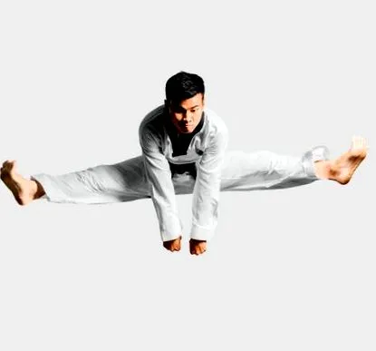 taekwondo taekwondo
