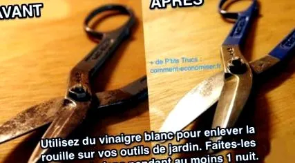 trucul
