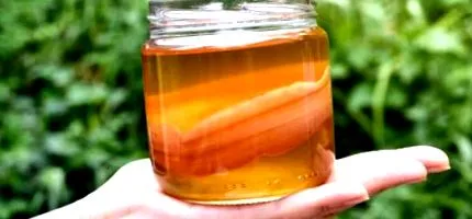 kombucha