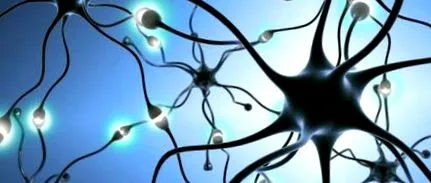 serotonina