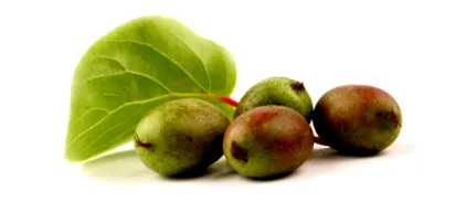 ismered berry