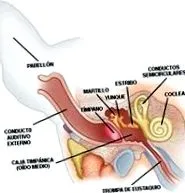 глухо