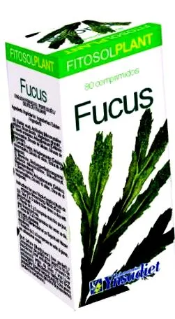 fucus