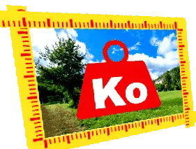 bites szín adaptív