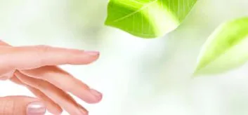 лабораторія
