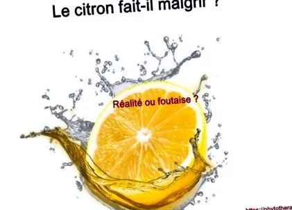 lefogy