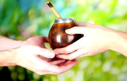 yerba