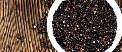 blog quinoa